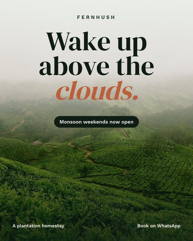 Fernhush homestay poster: Wake up above the clouds