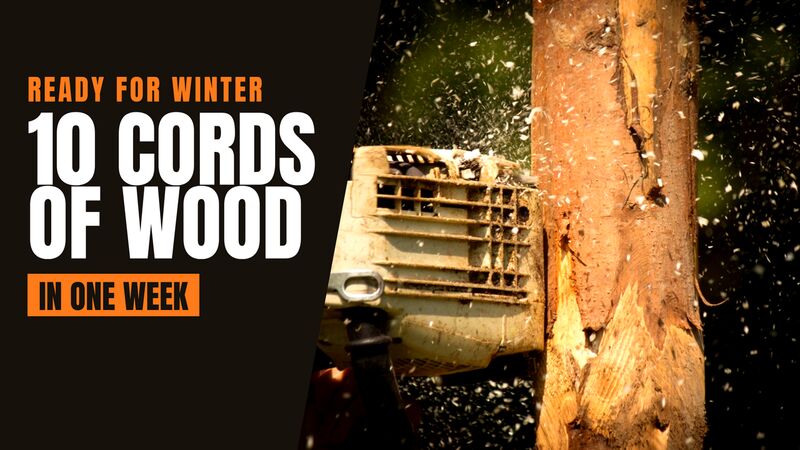 Thumbnail: ten cords of wood in one week