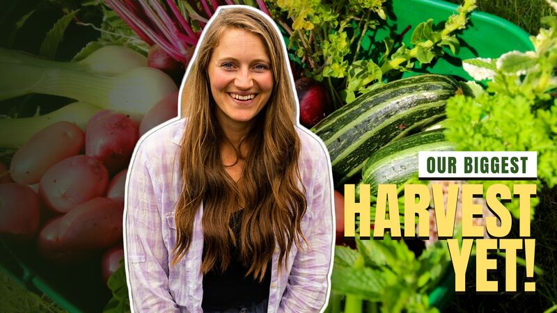 Thumbnail: our biggest harvest yet