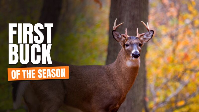 Thumbnail: first buck of the season